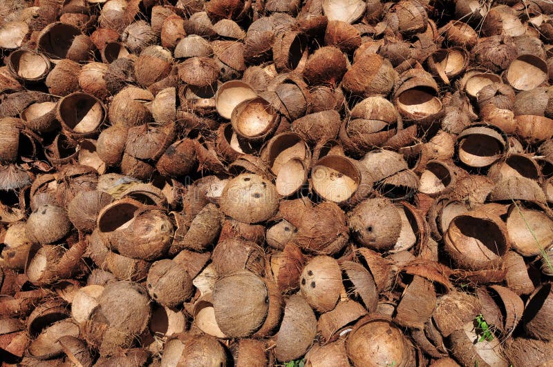 Coconut Charcoal vs. Wood Charcoal